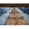 环保产品防水板 糙面防水板 HDPE防水板 HDPE糙面防水板宏祥