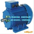 供应西安泰富西玛YGM2-160M1-2 11KW  IP54，F级，西玛电机