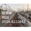 山西省忻州代县抗老化100克塑料编织布含运费