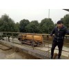 新闻：锦江区清理污水池常规操作方法