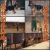 广东省湛江哪里有卖狼青犬的狼青犬价格