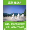 新闻：广州辟谷招生可以学禅创辟谷