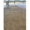 朔州混凝土水泥路面薄层快速机场跑道起砂露石