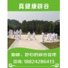 成都哪里可以学辟谷——【专业】辟谷瑜伽方法