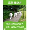广州辟谷培训班课程——【专业】辟谷期间可以跑步