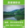 辟谷公众号哪家信誉好——福州辟谷