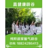 深圳辟谷公众号——四月辟谷班