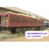 新闻：吐鲁番晒干鸡粪提升农产品质量.
