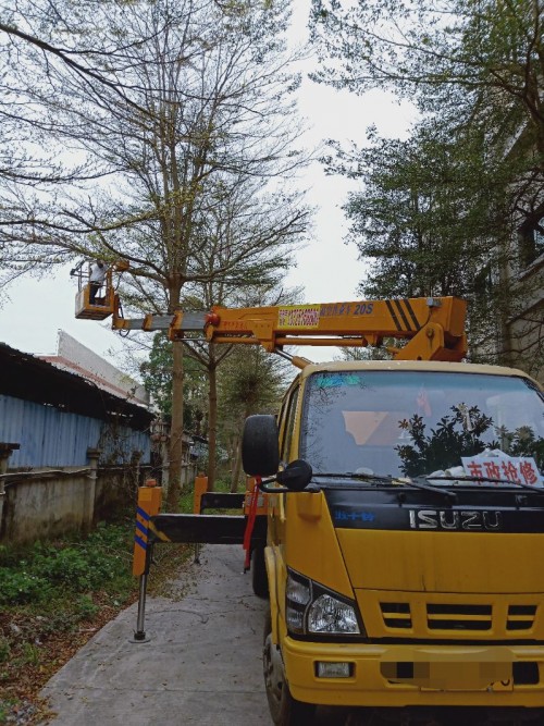 广东新丰路灯升降车出租-中桥建