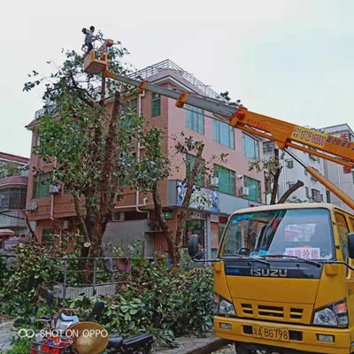 广东龙岗高空挂灯笼车出租-中桥建