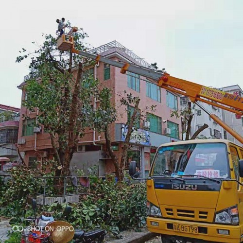 广东金伸缩臂高空作业车出租-中桥建