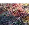 双鸭山废旧电缆回收回收价格