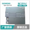 西门子S7-300主机CPU313C