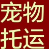 客车：从大连开往平顶山豪华卧铺客车