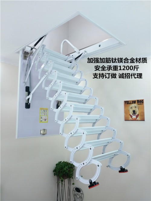资讯：锦州升降楼梯新款