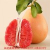 新闻：龙岩红中红蜜柚苗