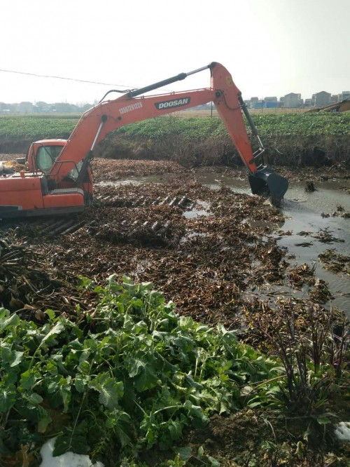 白沙县湿地挖掘机出租销售厂家