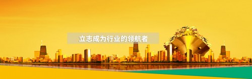 深圳到湛江直达专线返程车搬家厢式车价格