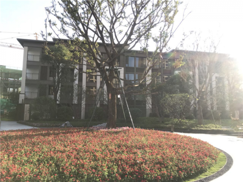 新闻:大亚湾龙光城近地铁站点-龙光城两期2019房产资讯