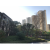新闻:惠州龙光城社区详细地址-龙光城潜力2019最新房产资讯