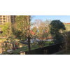 新闻:惠州龙光城哪几期比较好-龙光城花园2019最新房产资讯