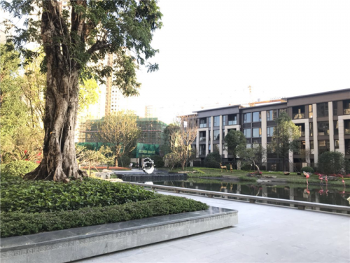 新闻:惠州大亚湾哪个地段有潜力-龙光城值得2019房产资讯
