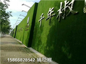 晋城环保检查加密草皮墙常见故障
