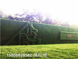 邯郸工地围墙环保草皮多年老品牌