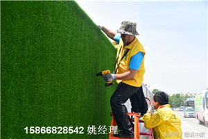 葫芦岛市政围墙塑料草坪布多少钱一米价格