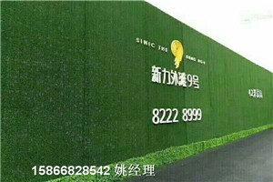 邯郸工地围墙环保草皮多年老品牌