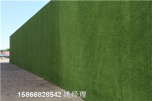 忻州绿化环保草坪布墙围质量好的