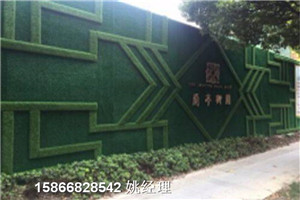 锦州绿篱假草墙如何