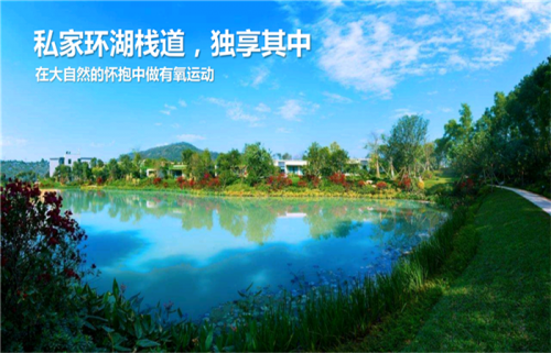 【买房新闻】惠州的海景房适合买房吗