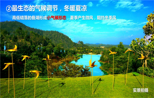 惠州惠阳为什么现在叫鬼城?惠州的海景房区域为什么好