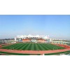 阿拉善盟学校足球场选用哪种人造草坪厂家新行情(内蒙古阿拉善盟