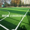 忻州5人足球场人造草坪分类(河北沧州建设公司)