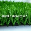 呼和浩特足球场人工草坪种类新款上市(内蒙古赤峰新国际材料)