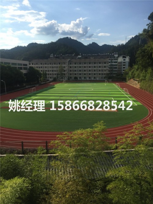 通辽人工草坪足球场学校哪的。。。好(内包头新材料)