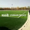 沧州足球场地铺人工草坪选用博翔远人造草坪公司(内蒙古包头新国