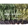呼伦贝尔足球场人工塑料草坪分类特性(山西晋城建设公司)