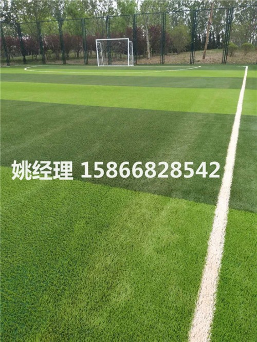 沧州正规比赛足球场人工草坪专业铺设相关新闻(山西忻州建设公司)