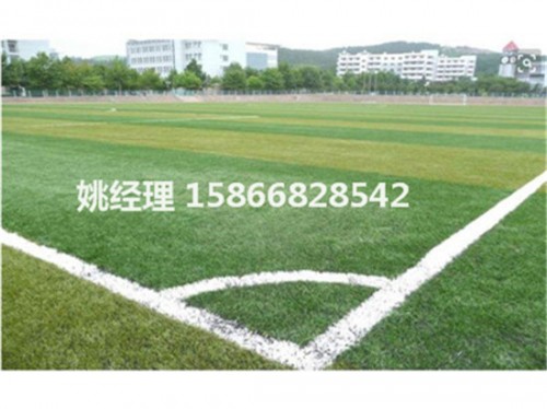 阿拉善盟足球场白色塑胶草坪销售公司(河北邯郸环保要求)