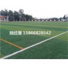 石家庄专业草坪足球场品牌(内蒙古赤峰建设公司)