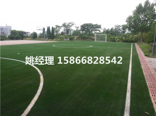 忻州学校用人造草坪价格专业铺设公司(内呼伦贝尔场地新)