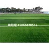 朔州11人足球场人造草坪使用方法(山西大同验收标准)