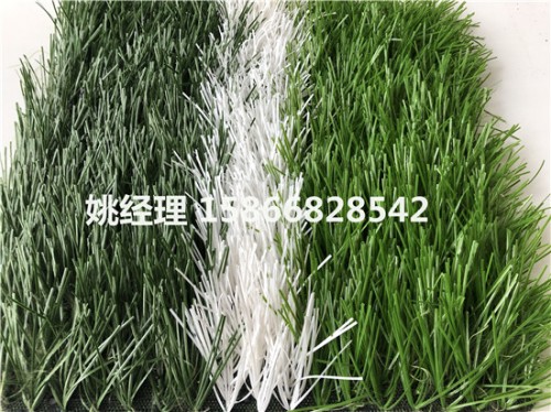 锡林郭勒盟足球场人工塑料草坪多年老品牌(内乌海环保要求)