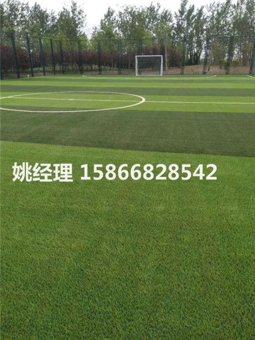 晋城学校足球场选用哪种人造草坪专业铺装(内锡林郭勒盟环保要求)