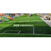 沧州足球场人造草坪，报告图片(河北承德验收标准)