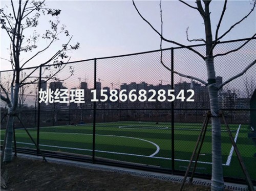 忻州足球场专用草坪草厂家(内乌海2019新国标)