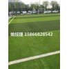 乌海足球场比赛草坪如何施工(河北邯郸新国际材料)